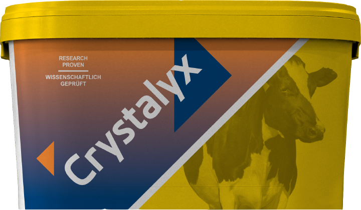 CRYSTALYX Energy Booster (Gelb)